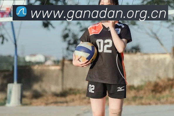 米兰app官方正版官网服务体系